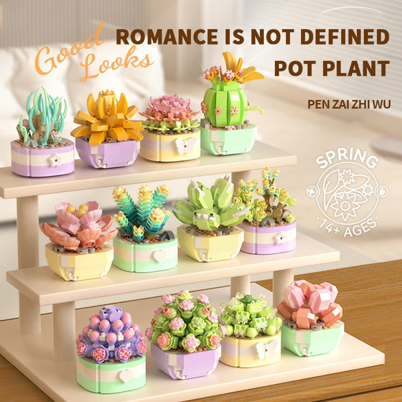 Flower Succulents Building Blo - Bonsai Garden Kit avis et prix