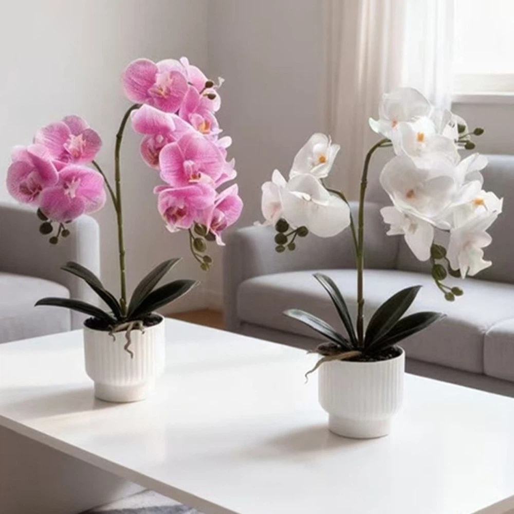Multi-Bloom Simulated Butterfl - Bonsai Garden Kit avis et prix