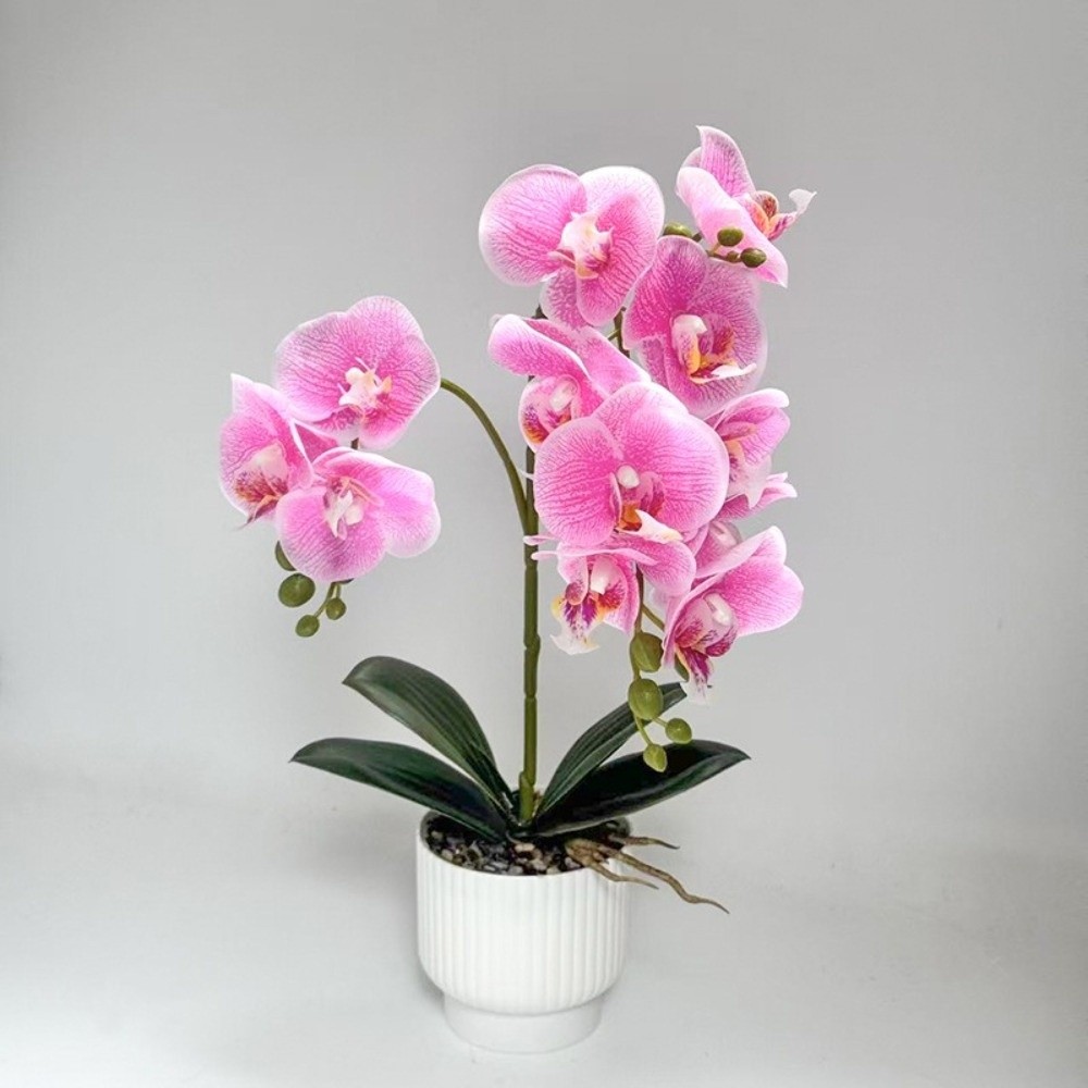 Multi-Bloom Simulated Butterfl - Bonsai Garden Kit avis et prix