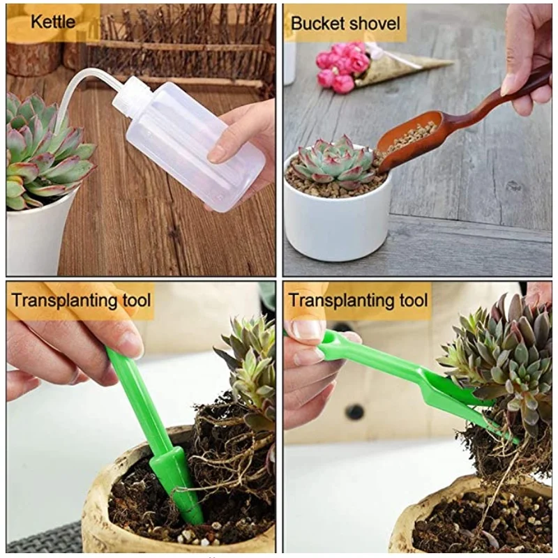 13Pcs Garden Planter Kit DIY S - Bonsai Garden Kit avis et prix