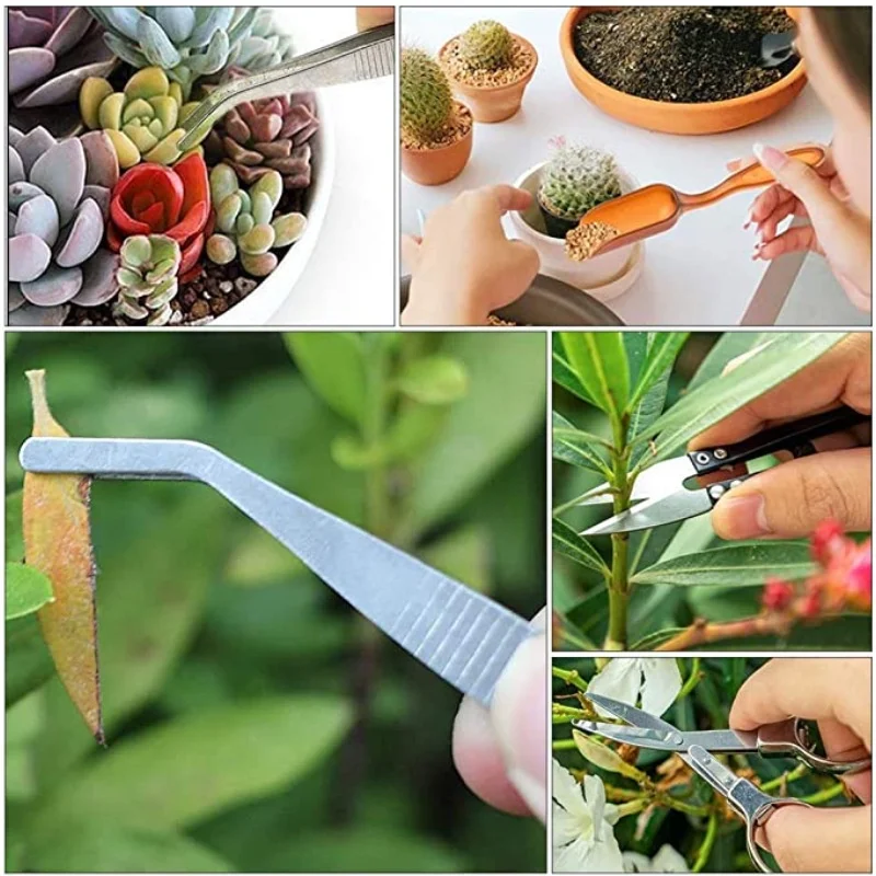 13Pcs Garden Planter Kit DIY S - Bonsai Garden Kit avis et prix