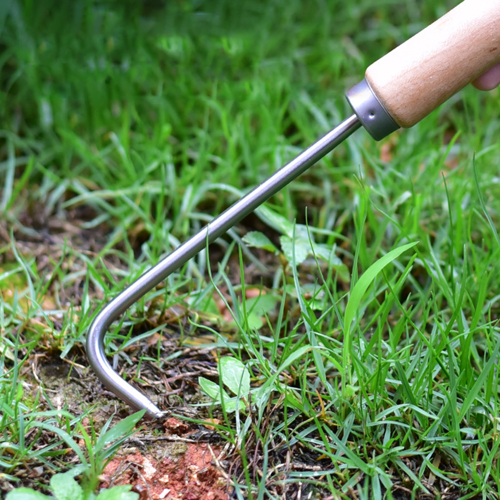 1PC Single Claw Hook Soil Loos - Bonsai Garden Kit avis et prix