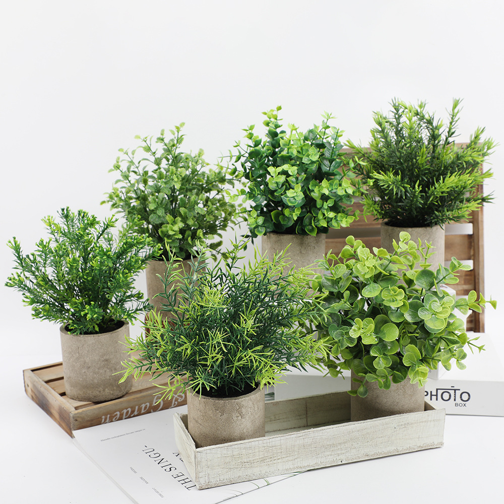 Artificial Plant Potted Eucaly - Bonsai Garden Kit avis et prix