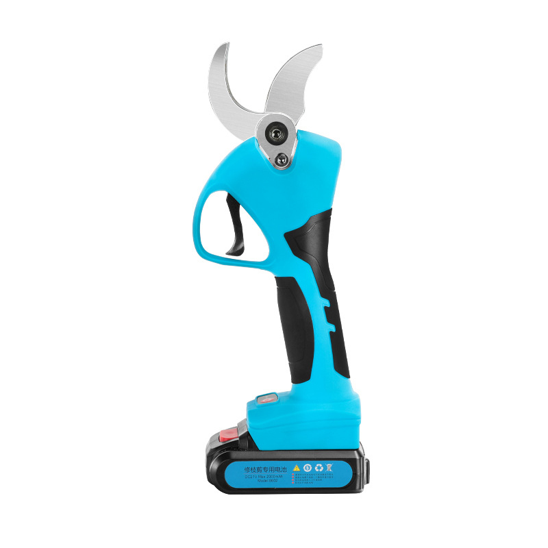 21V Cordless Lithium-ion Progr - Bonsai Garden Dc avis et prix