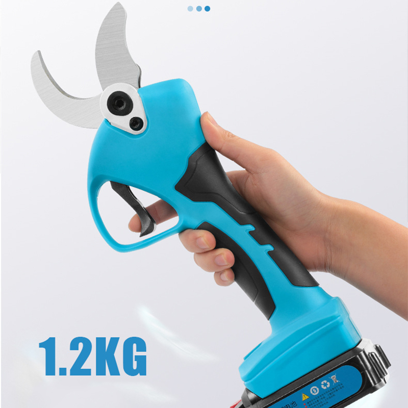 21V Cordless Lithium-ion Progr - Bonsai Garden Dc avis et prix