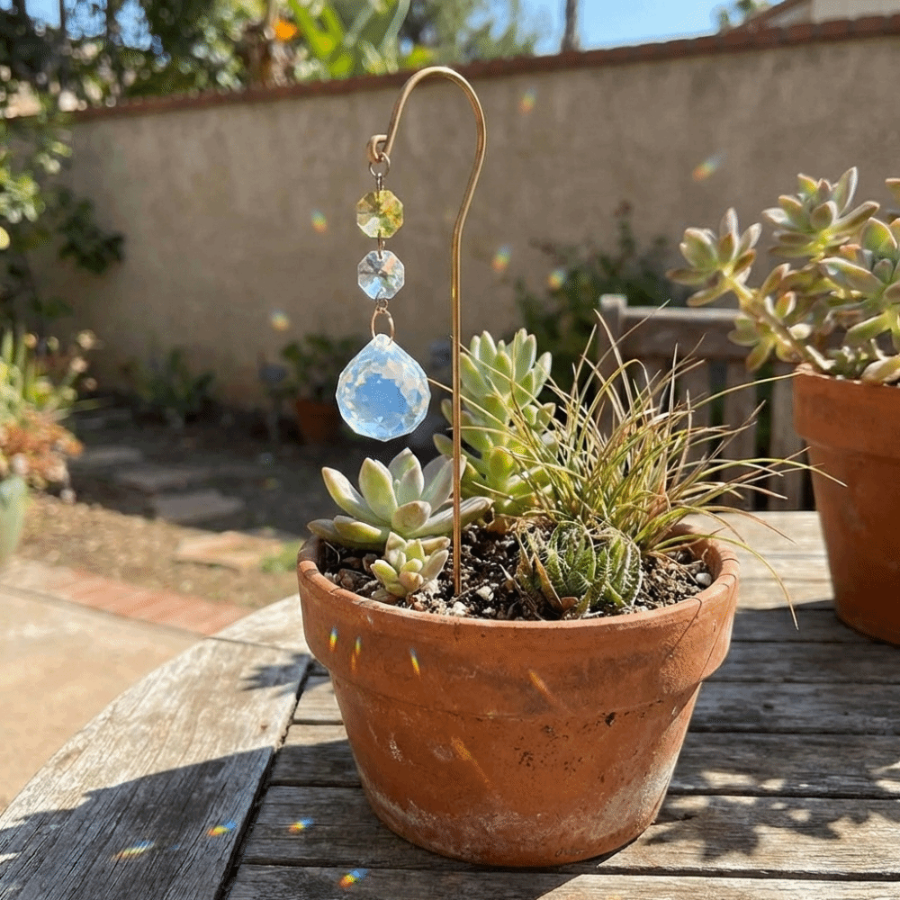 Reflective Crystal Garden Stak - Bonsai Garden Kit avis et prix