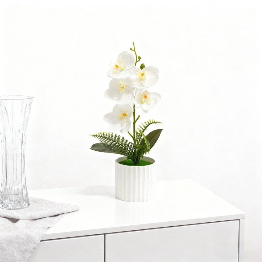 Multi-Bloom Simulated Butterfl - Bonsai Garden Kit avis et prix