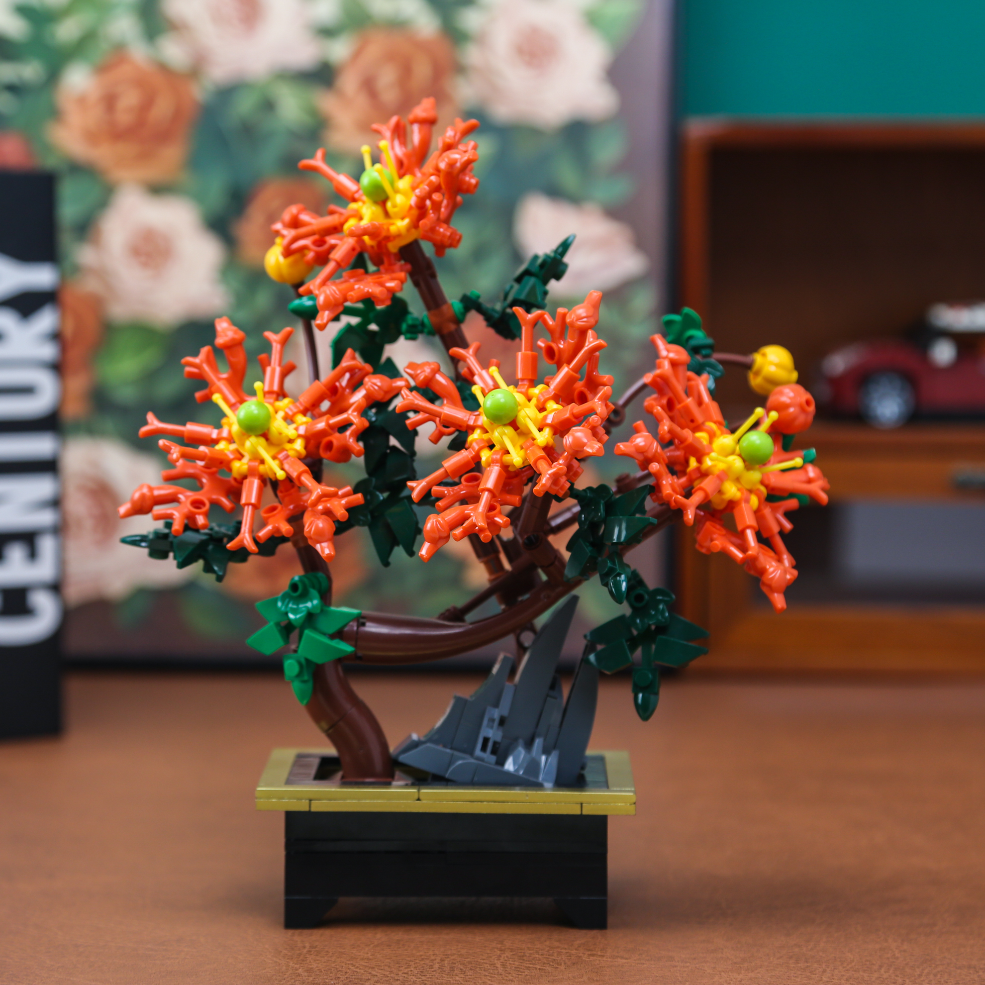 Dragon Claw Chrysanthemum Bons - Bonsai Garden Kit avis et prix