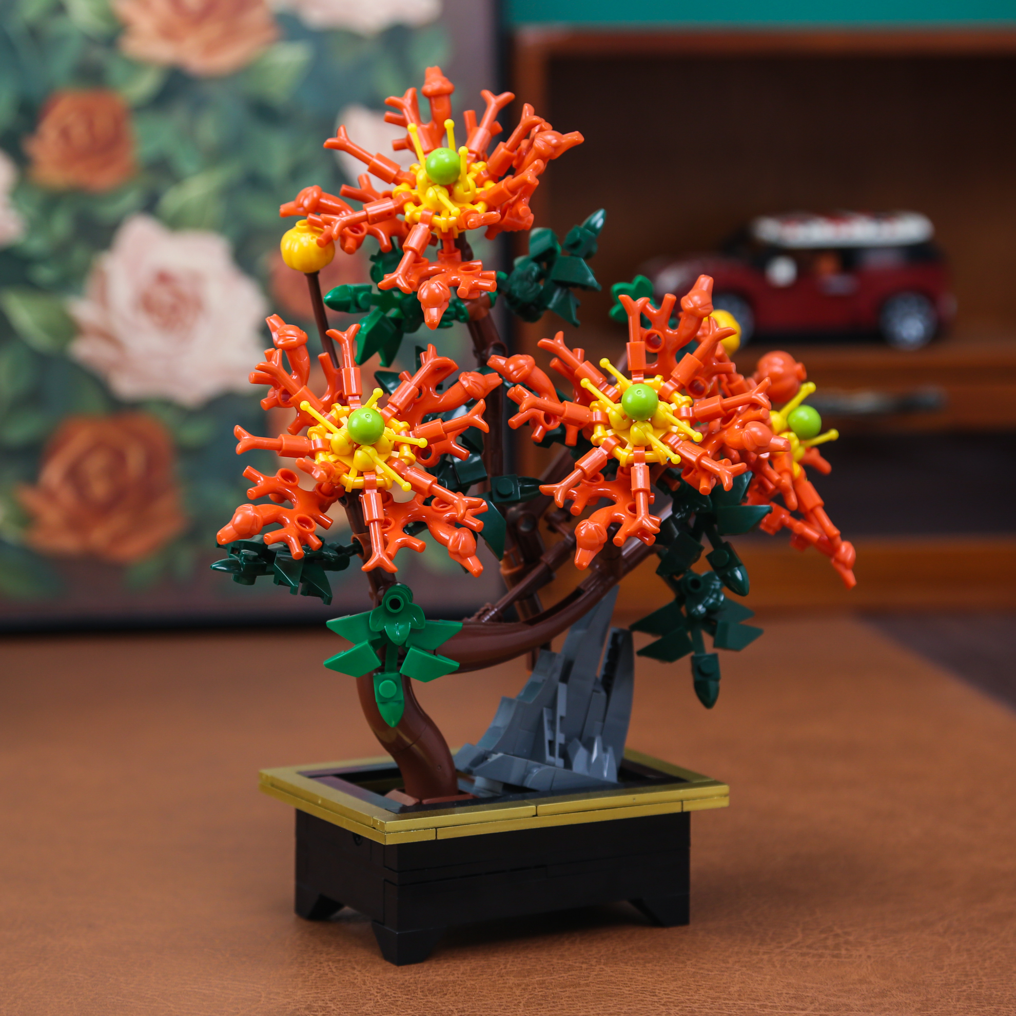 Dragon Claw Chrysanthemum Bons - Bonsai Garden Kit avis et prix