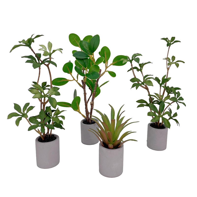 1:6 Dollhouse Miniature Potted - Bonsai Garden Kit avis et prix