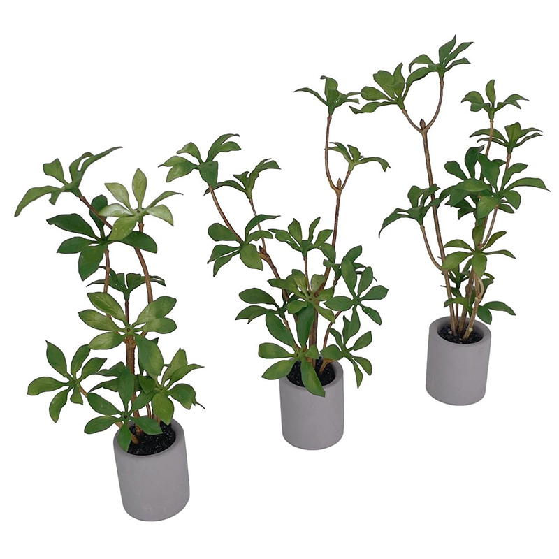 1:6 Dollhouse Miniature Potted - Bonsai Garden Kit avis et prix