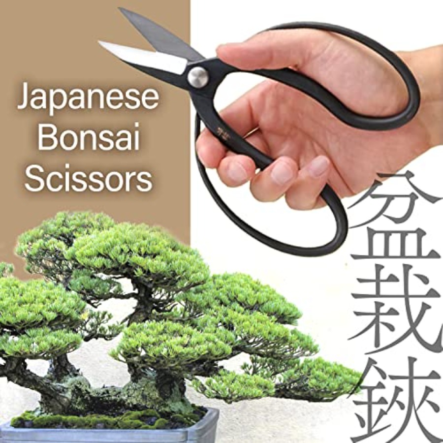 Japanese Suiryu Bonsai Scissor - Bonsai Garden In Japan avis et prix