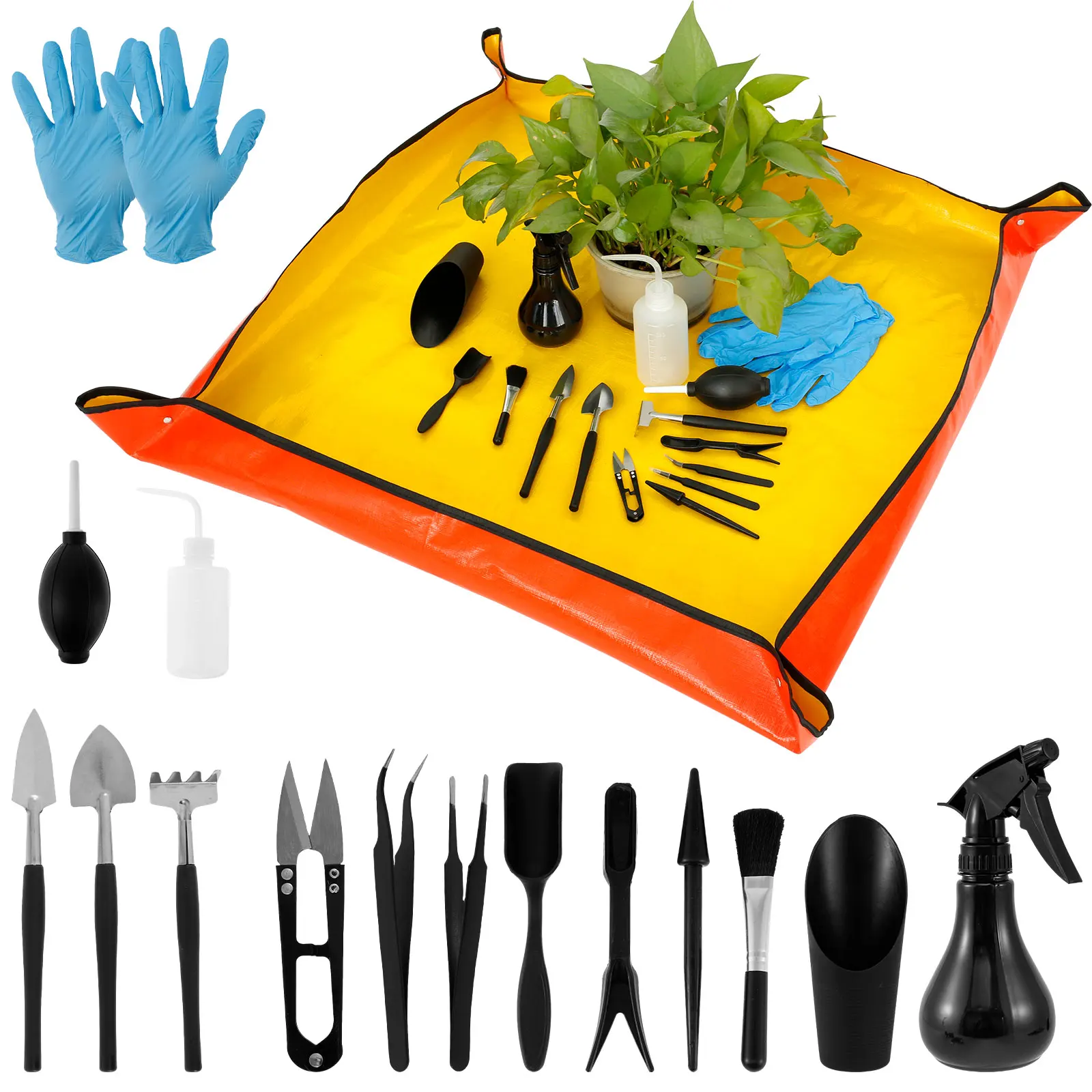 13/16Pcs Garden Succulent Plan - Bonsai Garden Kit avis et prix