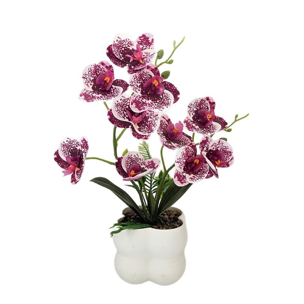 Multi-Bloom Simulated Butterfl - Bonsai Garden Kit avis et prix