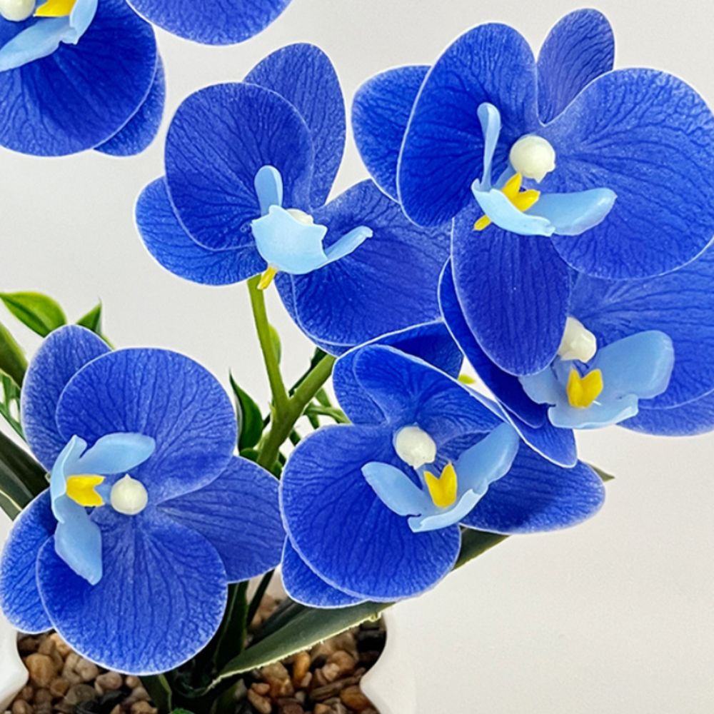 Multi-Bloom Simulated Butterfl - Bonsai Garden Kit avis et prix