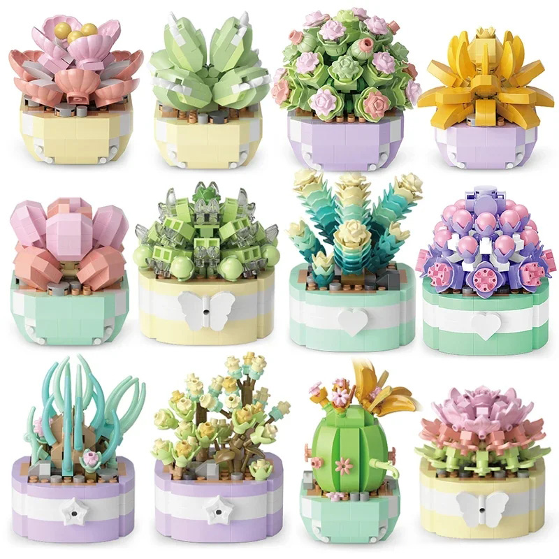 Flower Succulents Building Blo - Bonsai Garden Kit avis et prix