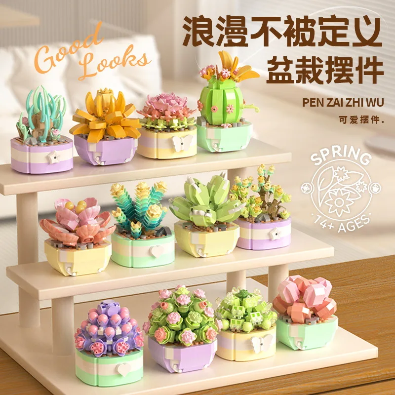 Flower Succulents Building Blo - Bonsai Garden Kit avis et prix