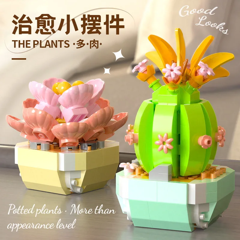 Flower Succulents Building Blo - Bonsai Garden Kit avis et prix