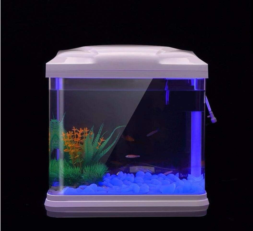 Fish Tank Rocks Glow Blue Pebb - Bonsai Garden Kit avis et prix