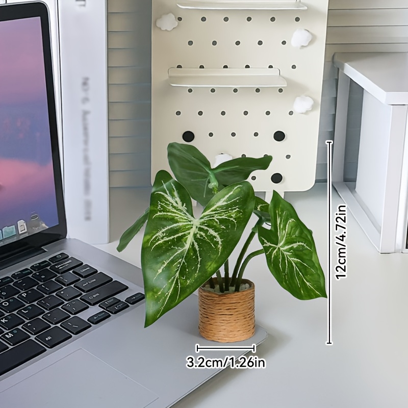 Mini Artificial Alocasia, Whit - Bonsai Garden Kit avis et prix