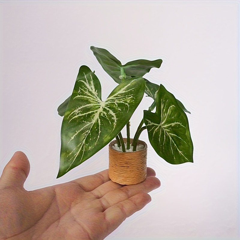 Mini Artificial Alocasia, Whit - Bonsai Garden Kit avis et prix