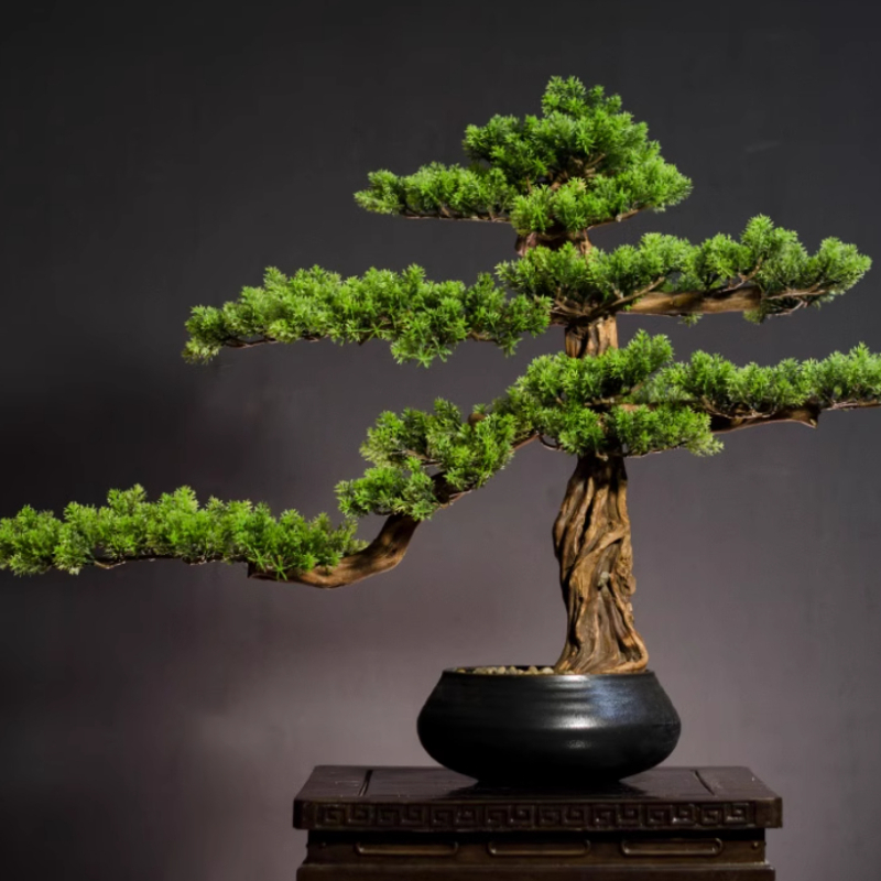 Home Welcoming Pine Ornaments  - Bonsai Garden Entrance avis et prix