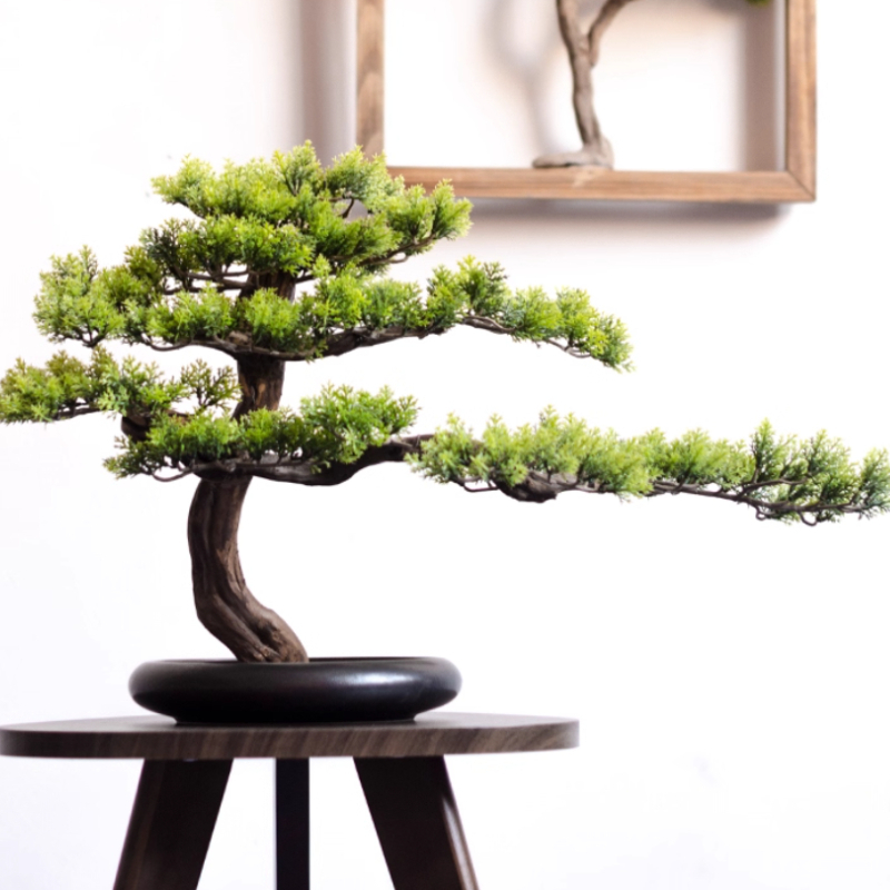 Home Welcoming Pine Ornaments  - Bonsai Garden Entrance avis et prix