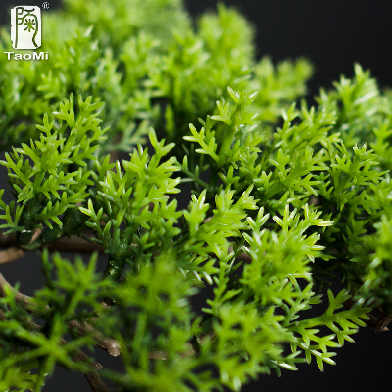 Home Welcoming Pine Ornaments  - Bonsai Garden Entrance avis et prix