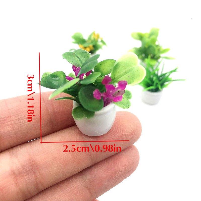 Dollhouse Plant, Miniature Bon - Bonsai Garden Kit avis et prix