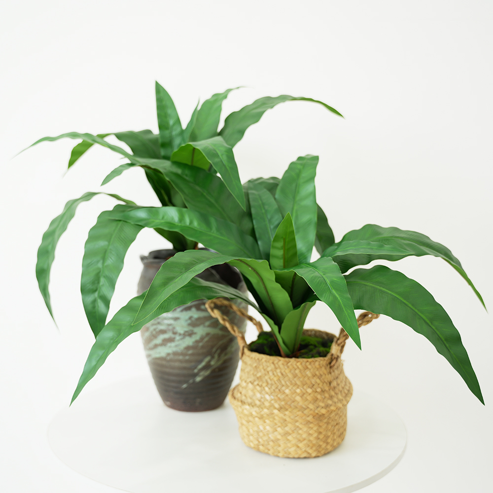 Large Artificial Fern with 12  - Bonsai Garden Entrance avis et prix
