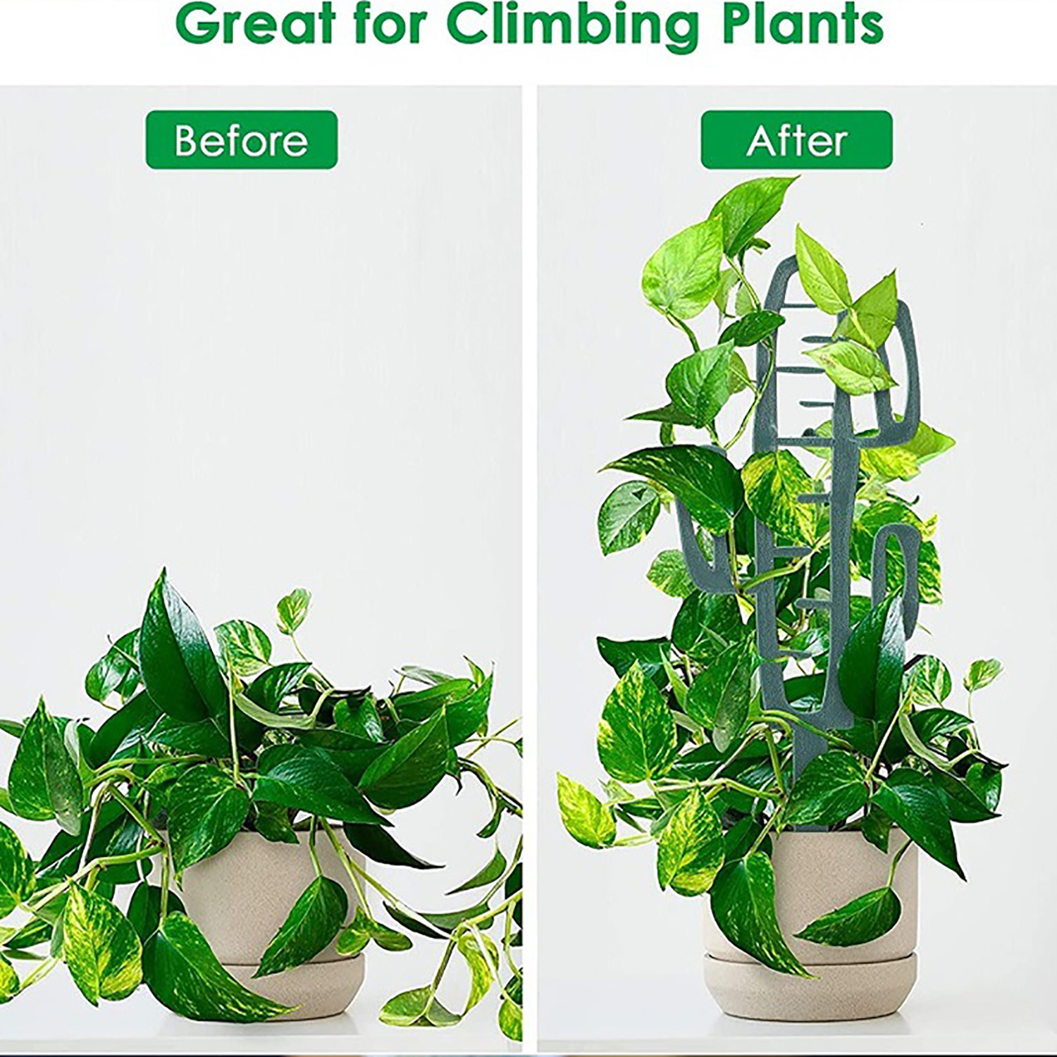 Plant Climbing Support Stand F - Bonsai Garden Kit avis et prix