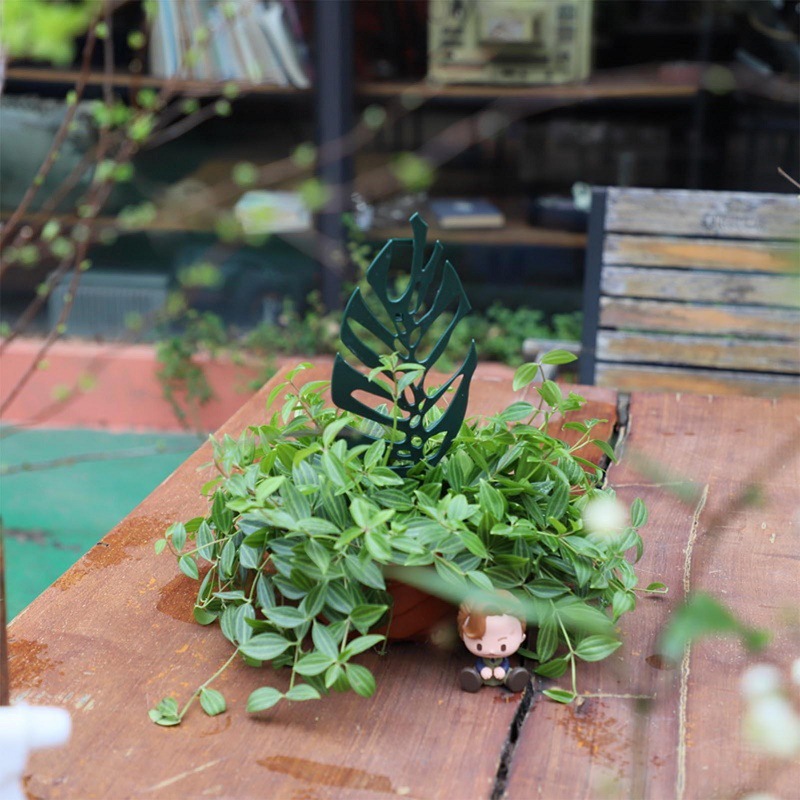 Plant Climbing Support Stand F - Bonsai Garden Kit avis et prix