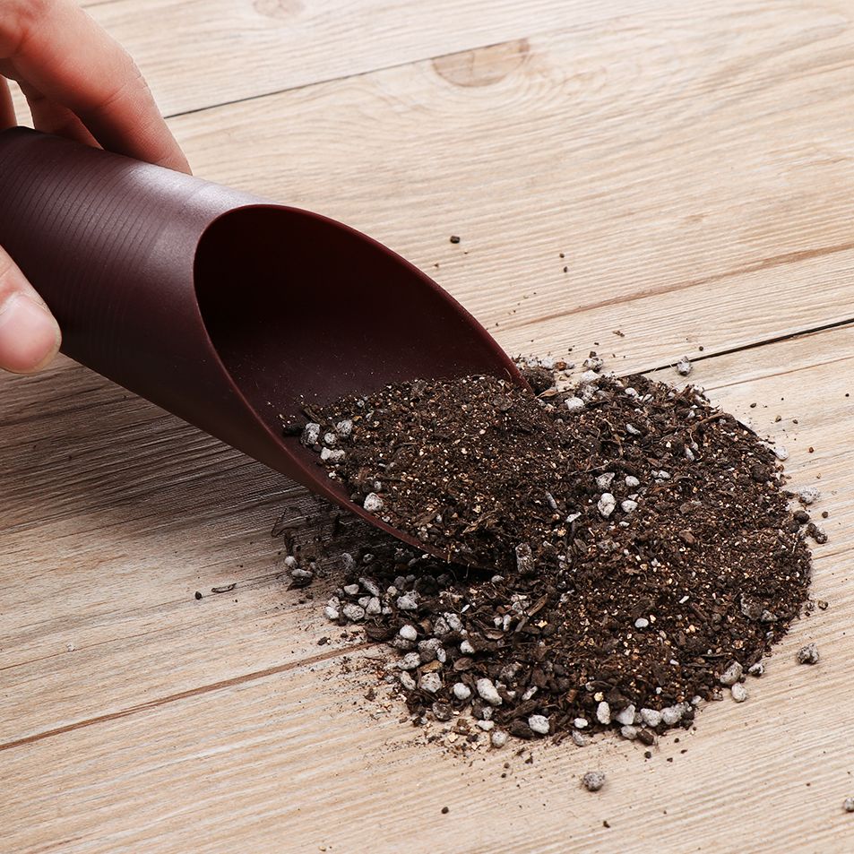 1PC Plastic Soil Shovel Cup Fo - Bonsai Garden Kit avis et prix